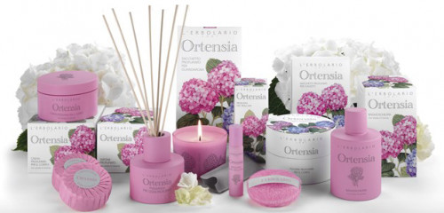 Ortensia